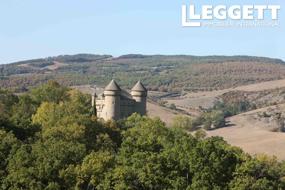 Castle in Riviere-sur-Tarn, Occitania, France 1 - 18087357