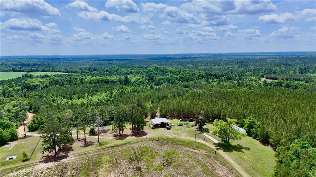 Farm Ranch in Scotland, Georgia, United States 4 - 17923855