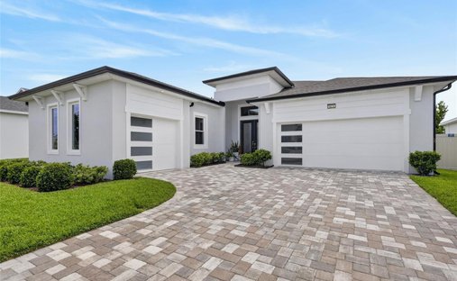 House in Wesley Chapel, Florida, United States 1