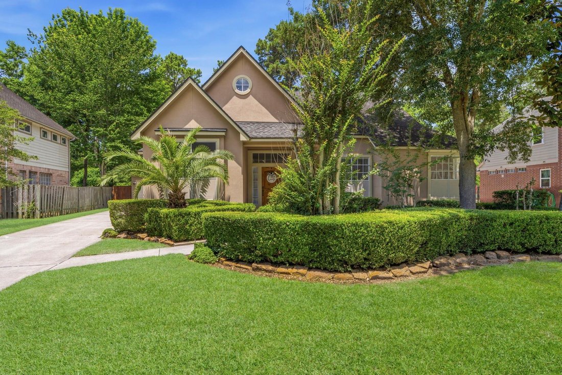 House in The Woodlands, Texas, United States 1 - 18085877