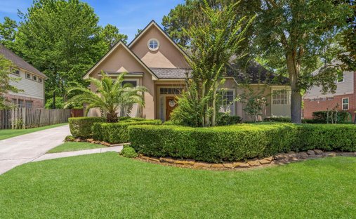 House in The Woodlands, Texas, United States 1