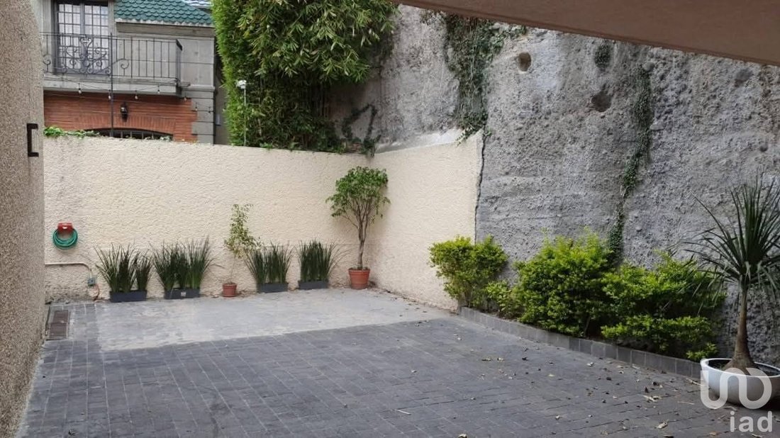 House in Mexico City, Mexico 5 - 18083013
