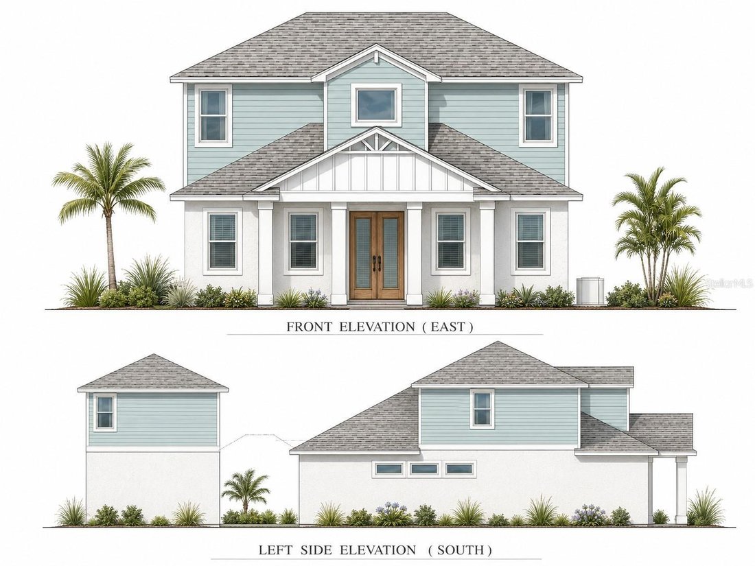 House in Safety Harbor, Florida, United States 1 - 18085032