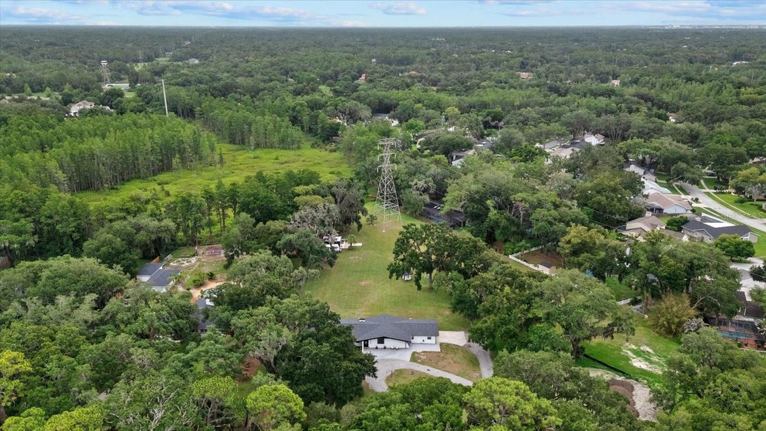 House in Lutz, Florida, United States 5 - 18088670