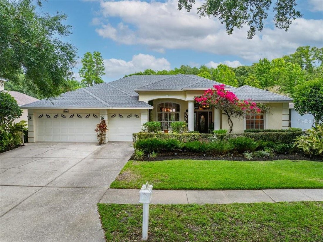 House in Palm Harbor, Florida, United States 1 - 18081077