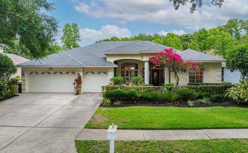 House in Palm Harbor, Florida, United States 1