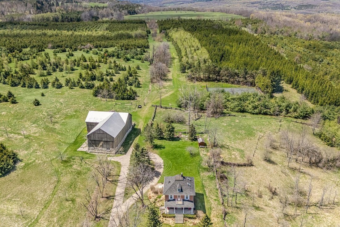 Corps de ferme à Mulmur, Ontario, Canada 5 - 15624244