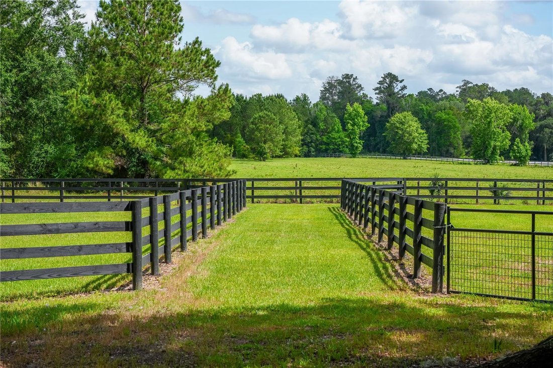 House in Ocala, Florida, United States 3 - 18085051