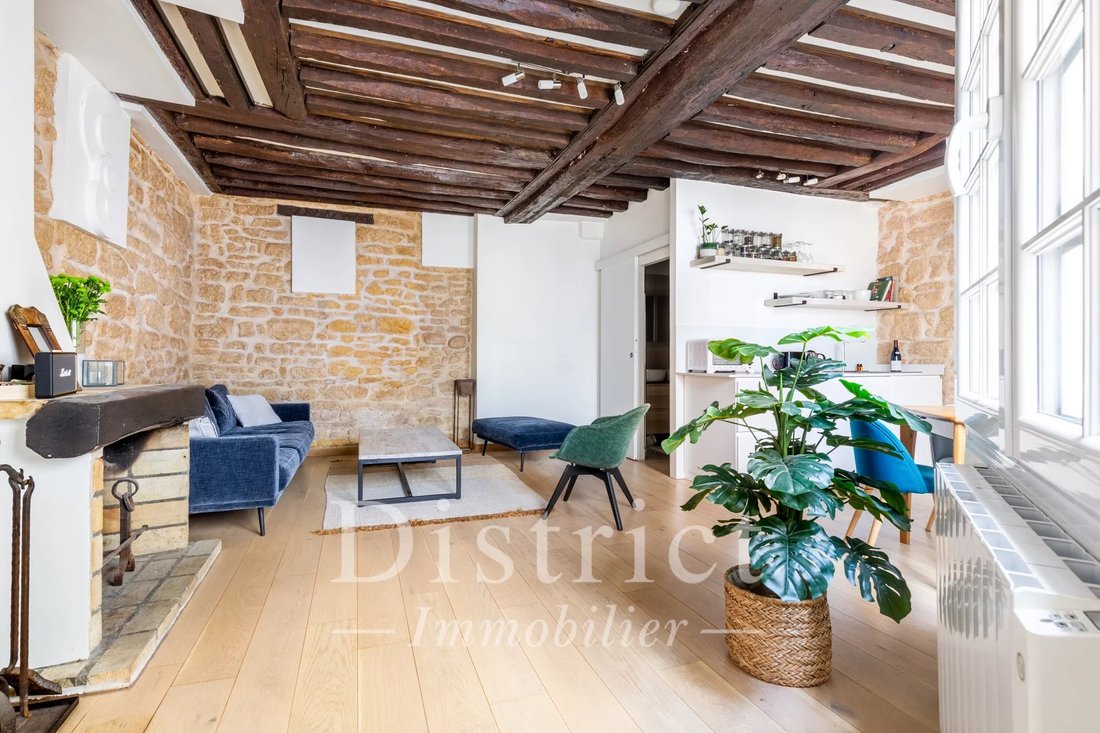 Appartement à Île Saint Louis, Paris 4e Arrondissement, Paris 5 - 18085232