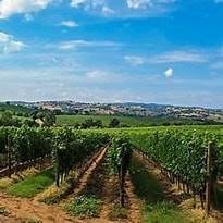 Rodigo, Lombardy, Italy 4 - 18087279