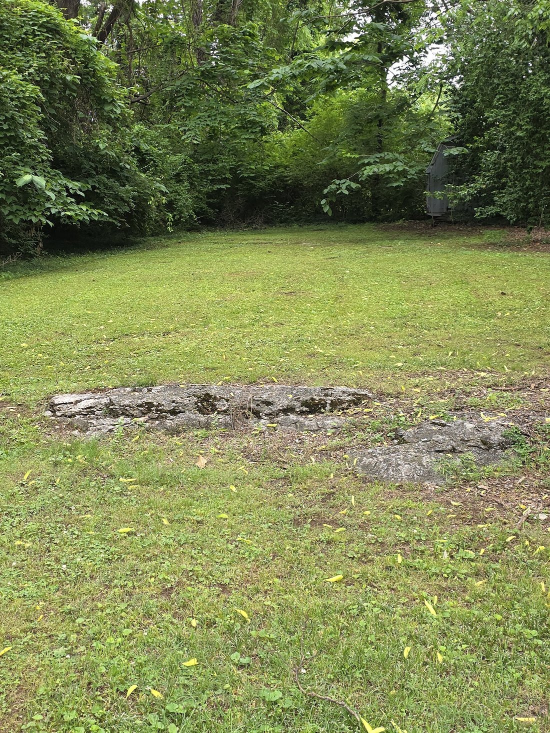 House in Forest Hills, Tennessee, United States 5 - 18089453