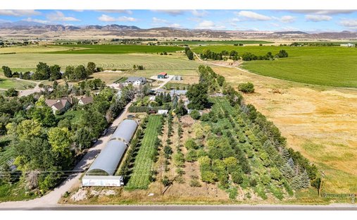 House in Wellington, Colorado, United States 1