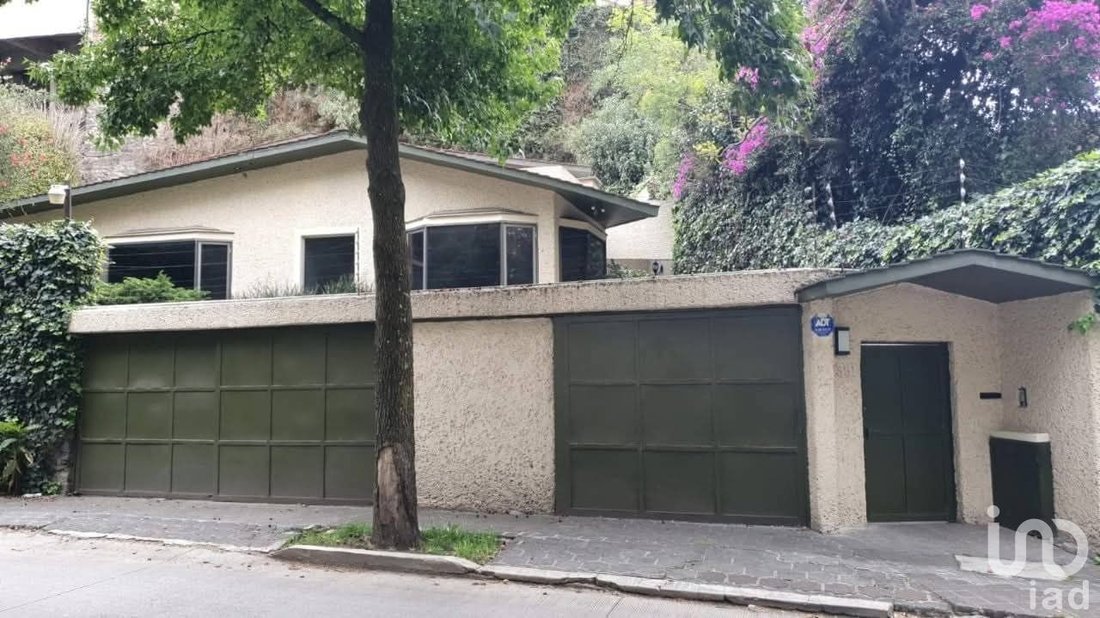 House in Mexico City, Mexico 1 - 18083013