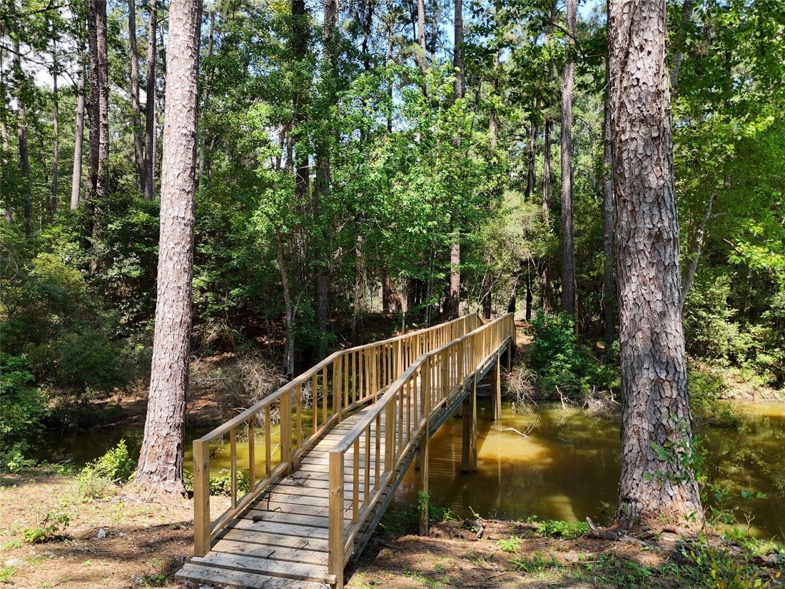 House in Coldspring, Texas, United States 3 - 18085927