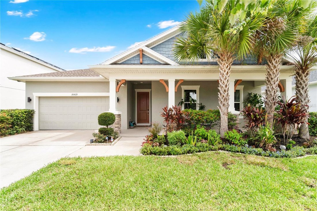 House in Land O' Lakes, Florida, United States 1 - 18085063