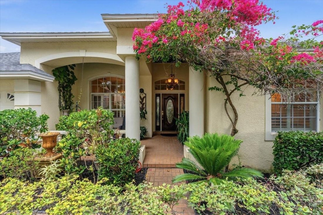 House in Palm Harbor, Florida, United States 3 - 18081077
