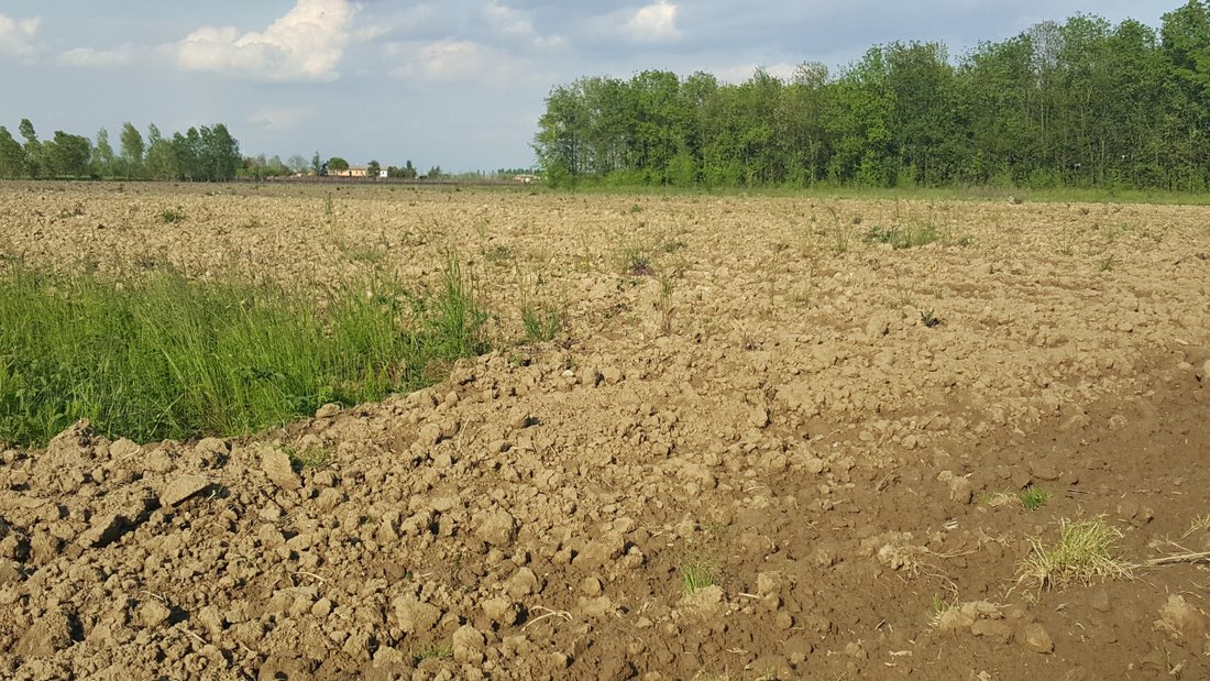 Land in Zerman - Campocroce - Bonisiolo, Mogliano Veneto, Veneto 2 - 18087552