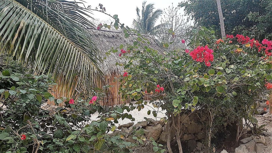 House in Dreams Tulum, Quintana Roo, Mexico 5 - 18084160