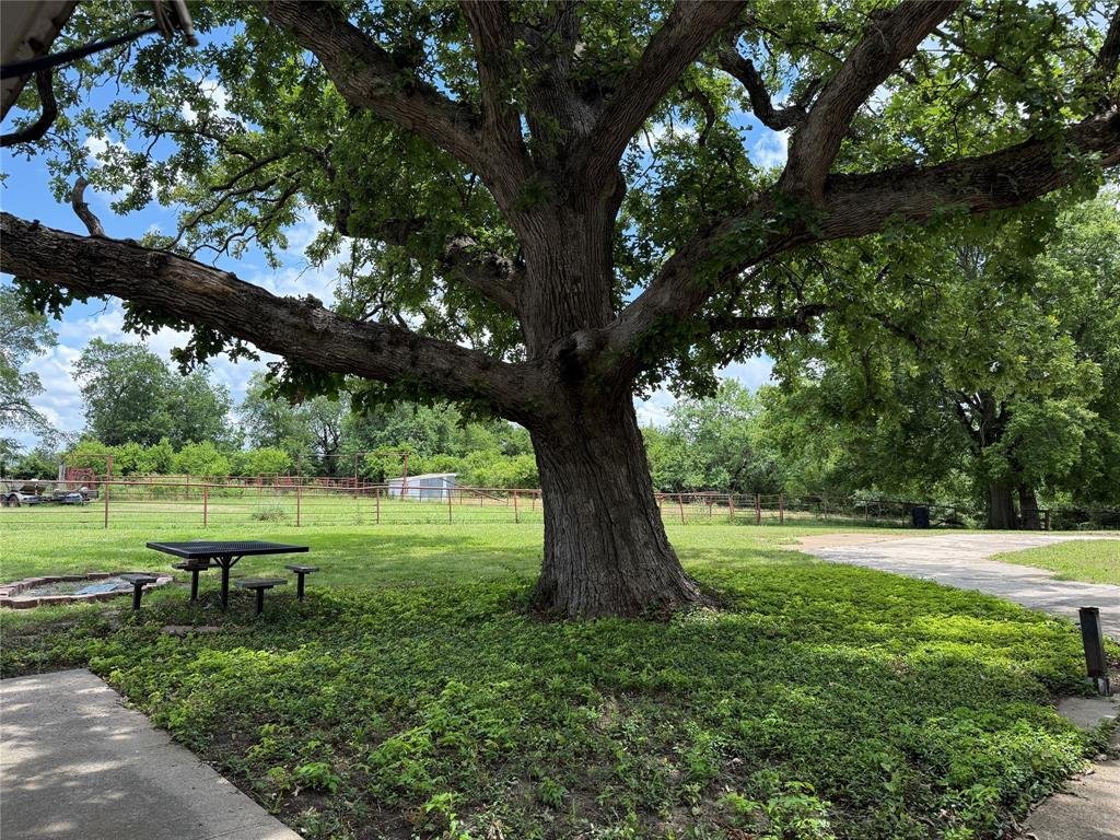 Farm Ranch in Whitewright, Texas, United States 5 - 18087140