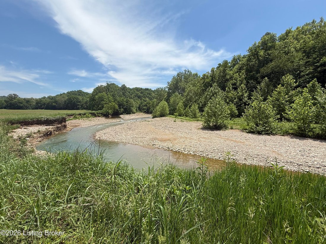 Farm Ranch in Bedford, Kentucky, United States 3 - 18082452