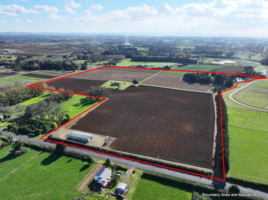 Farm Ranch in Pukekohe Hill, New Zealand 1 - 18088365
