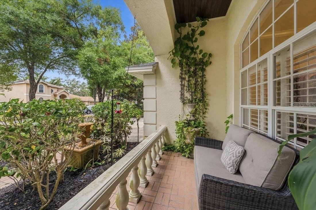 House in Palm Harbor, Florida, United States 5 - 18081077