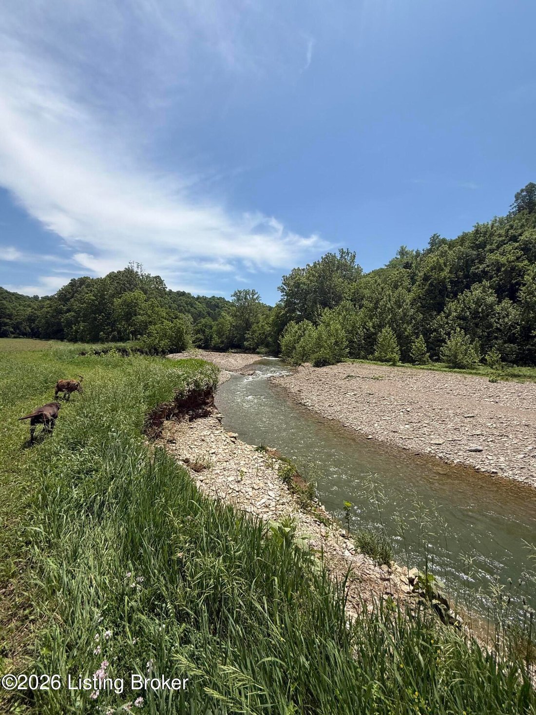 Farm Ranch in Bedford, Kentucky, United States 4 - 18082452