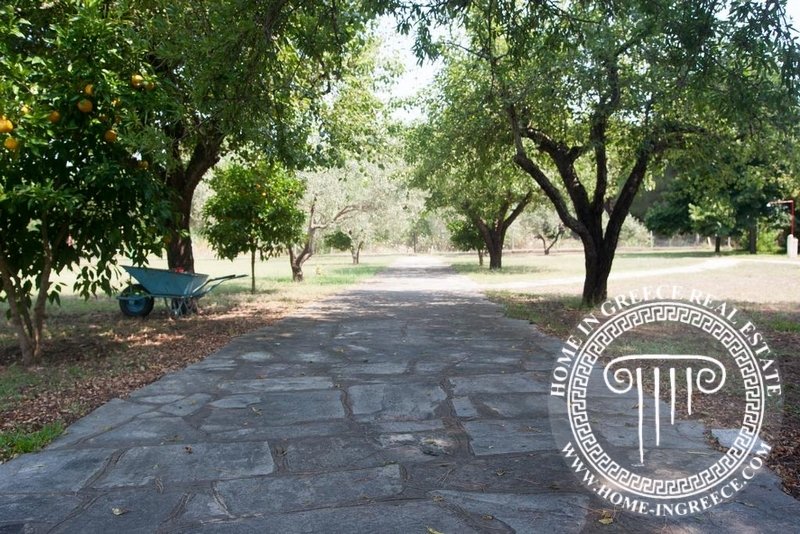 Villa in Sithonia, Macedonia and Thrace, Greece 5 - 15327158