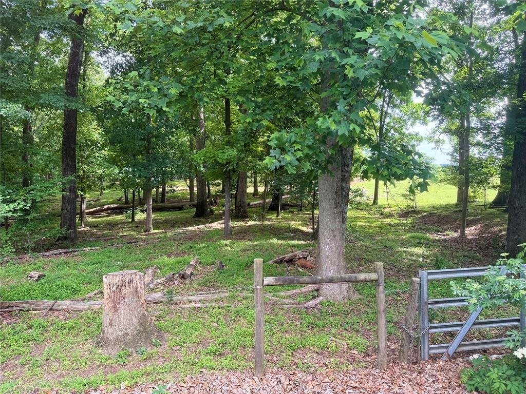 House in Cumming, Georgia, United States 5 - 18088895