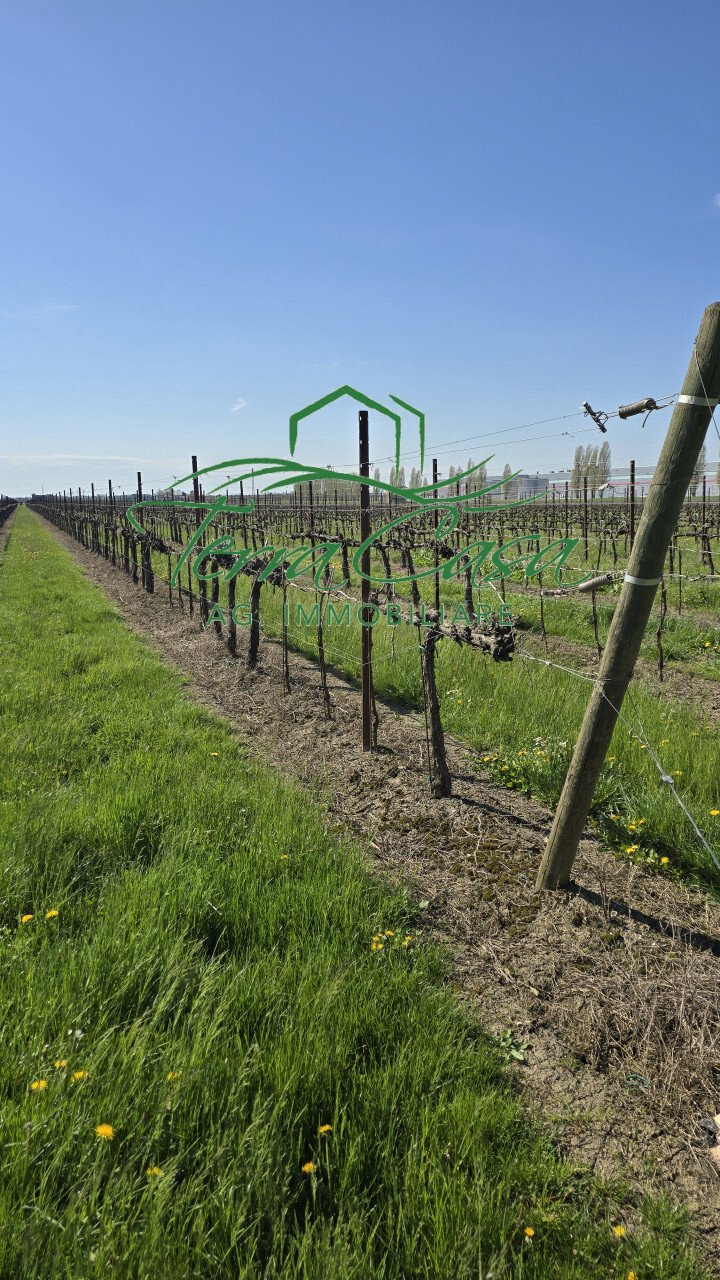Land in San Donà di Piave, Veneto, Italy 5 - 18087554