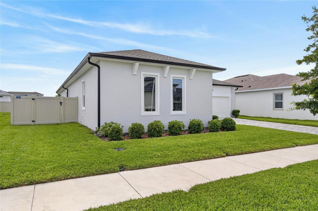 House in Wesley Chapel, Florida, United States 5 - 18088669