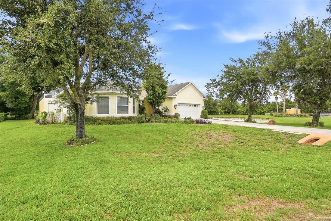 House in Lutz, Florida, United States 3 - 18085084