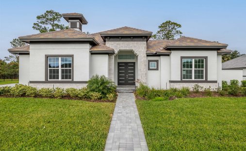 House in Palm Coast, Florida, United States 1