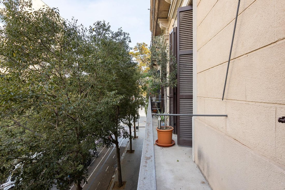 Apartment in Sant Martí, Barcelona, Spain 4 - 18081437