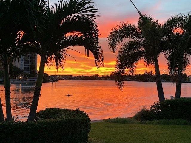 House in St. Petersburg, Florida, United States 2 - 18084267