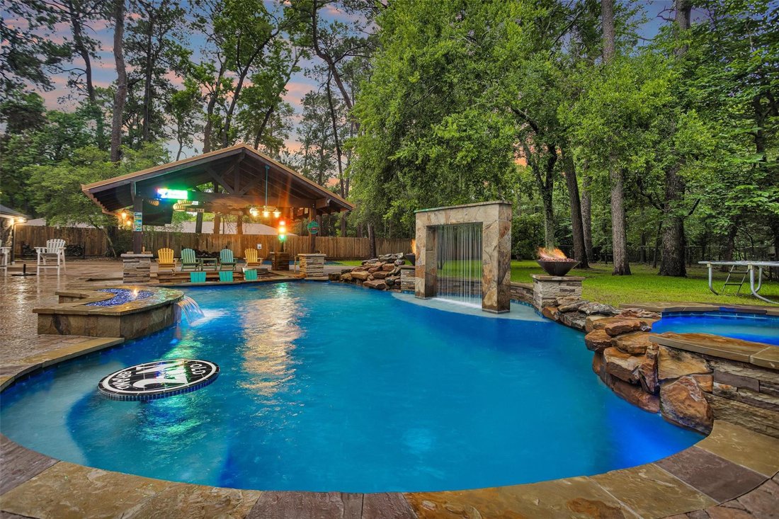 House in The Woodlands, Texas, United States 1 - 18085876