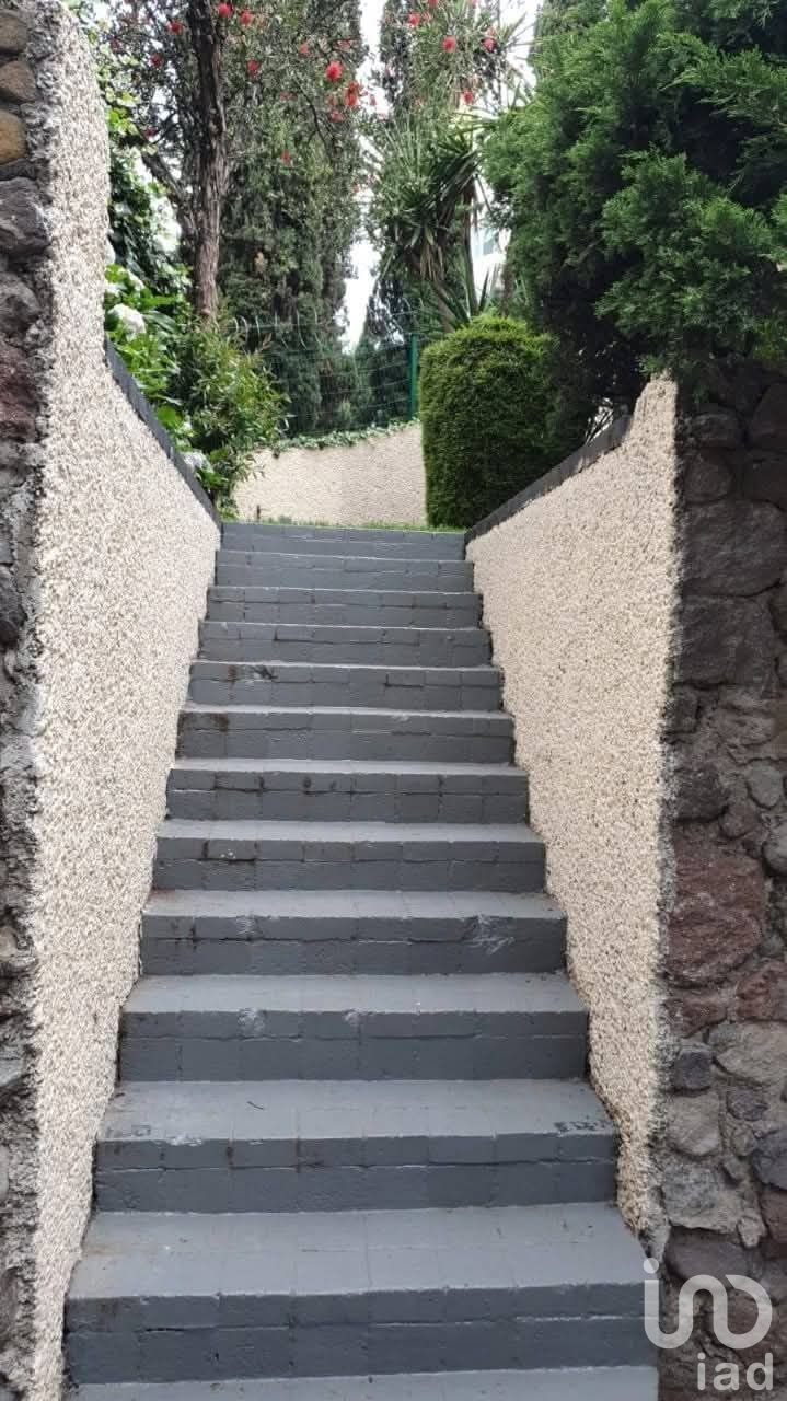 House in Mexico City, Mexico 4 - 18083013