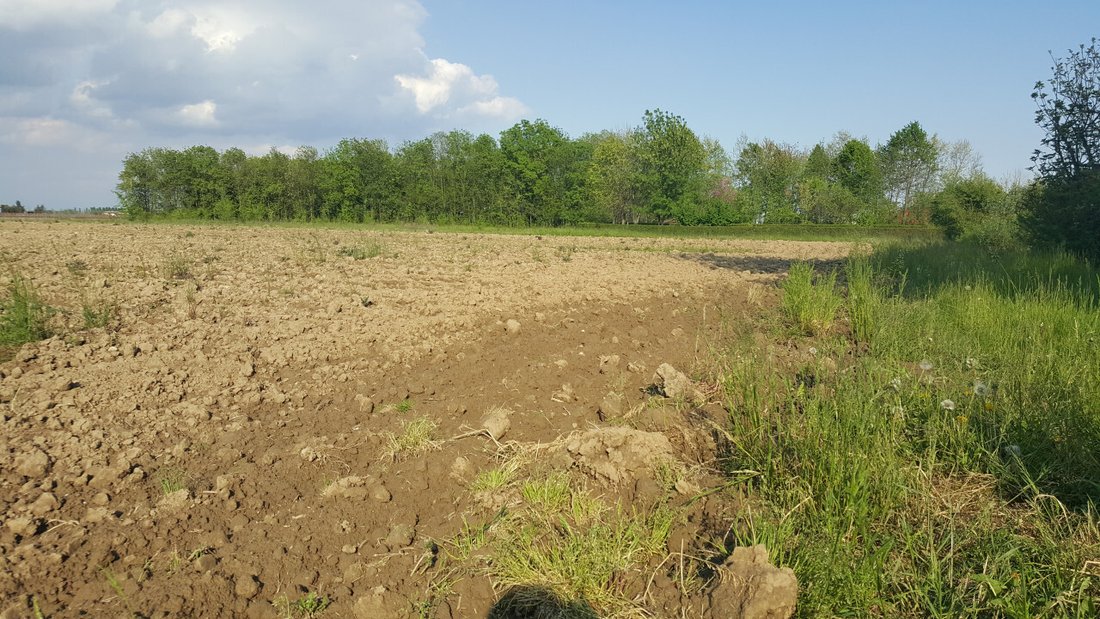 Land in Zerman - Campocroce - Bonisiolo, Mogliano Veneto, Veneto 1 - 18087552