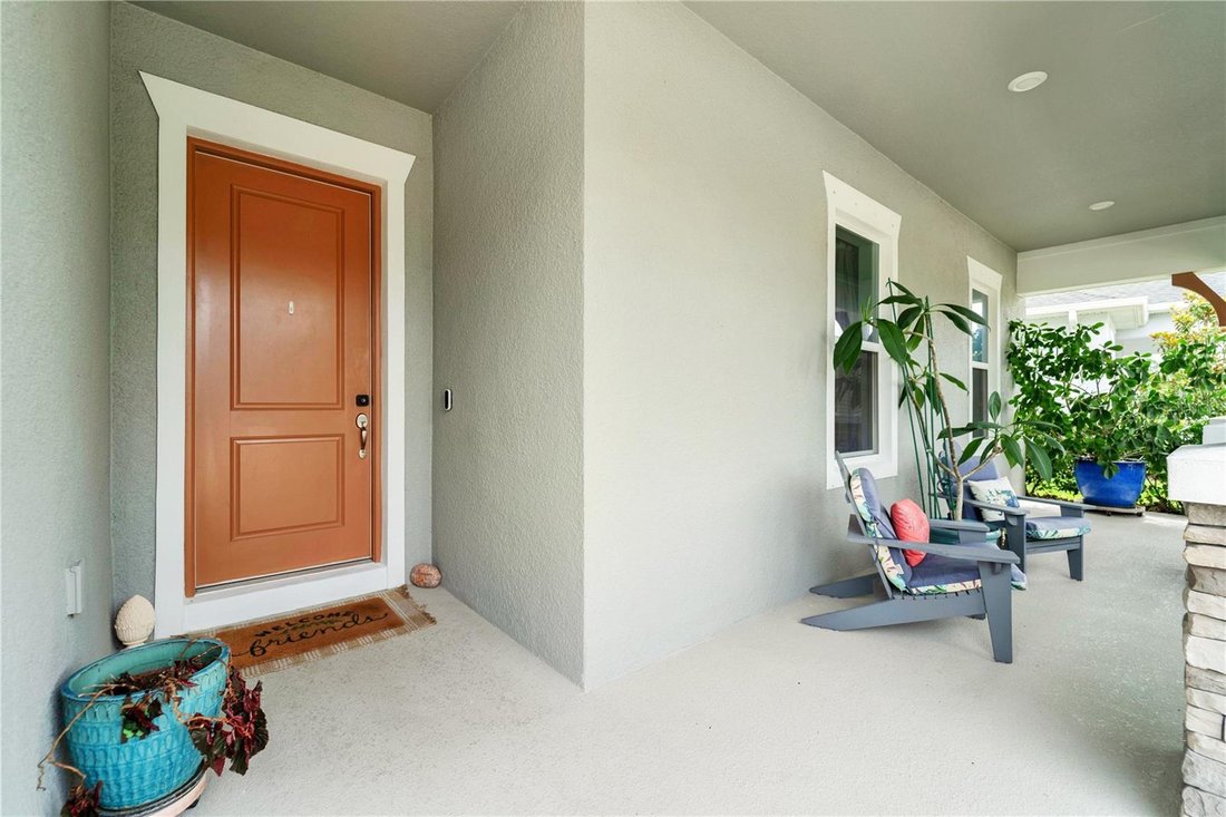 House in Land O' Lakes, Florida, United States 3 - 18085063