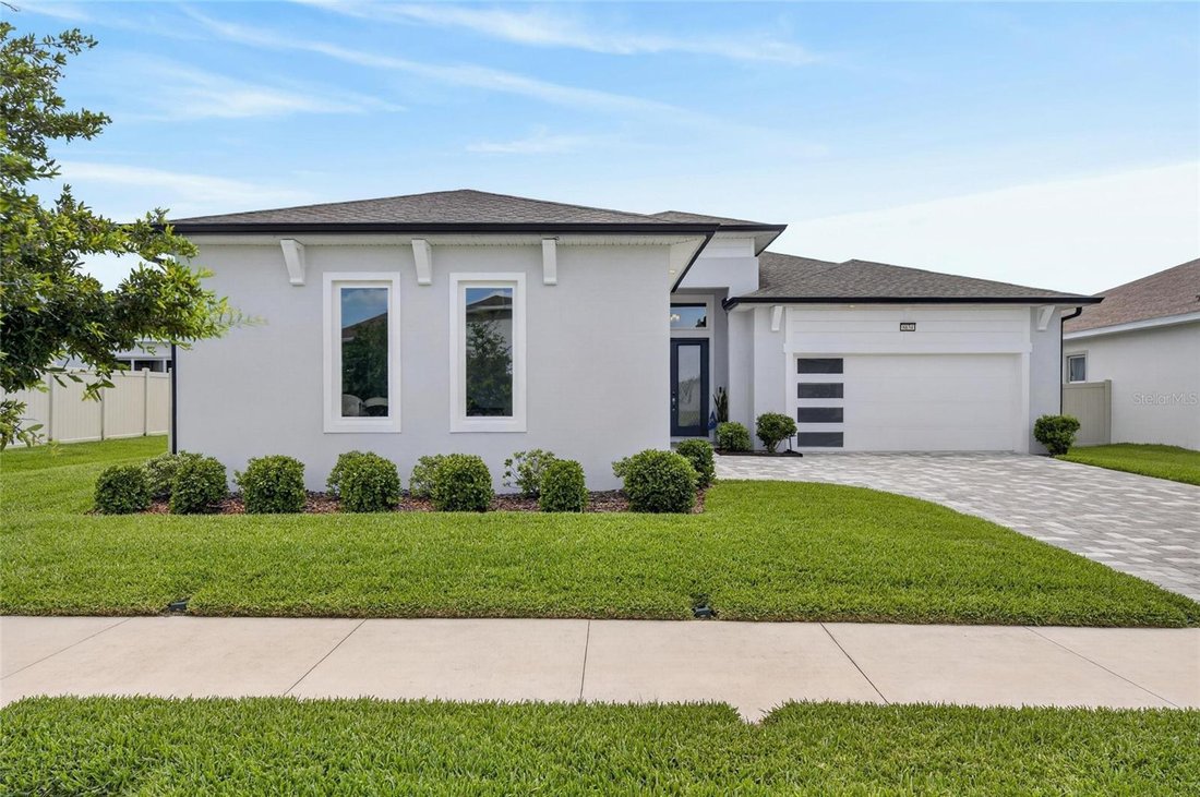 House in Wesley Chapel, Florida, United States 3 - 18088669