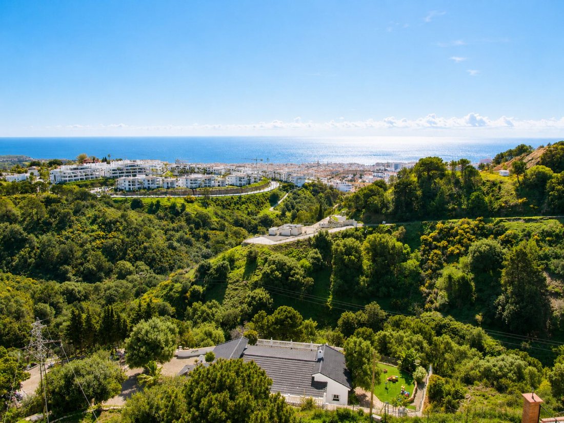 Finca in Estepona, Andalusia, Spain 2 - 17444435