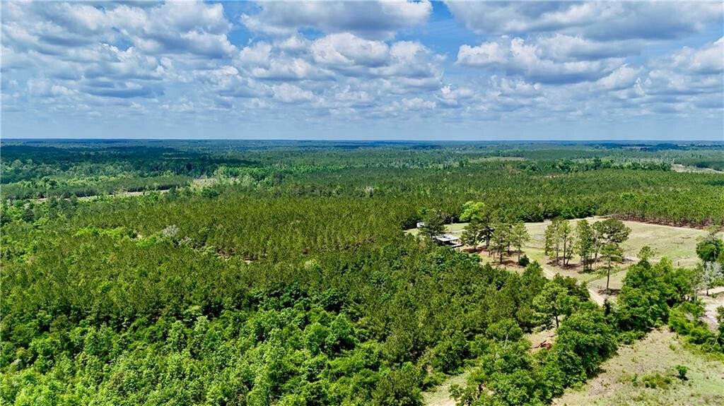 Farm Ranch in Scotland, Georgia, United States 5 - 17923855