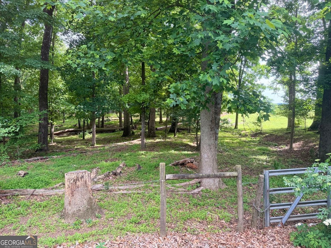 Farm Ranch in Cumming, Georgia, United States 5 - 18088987