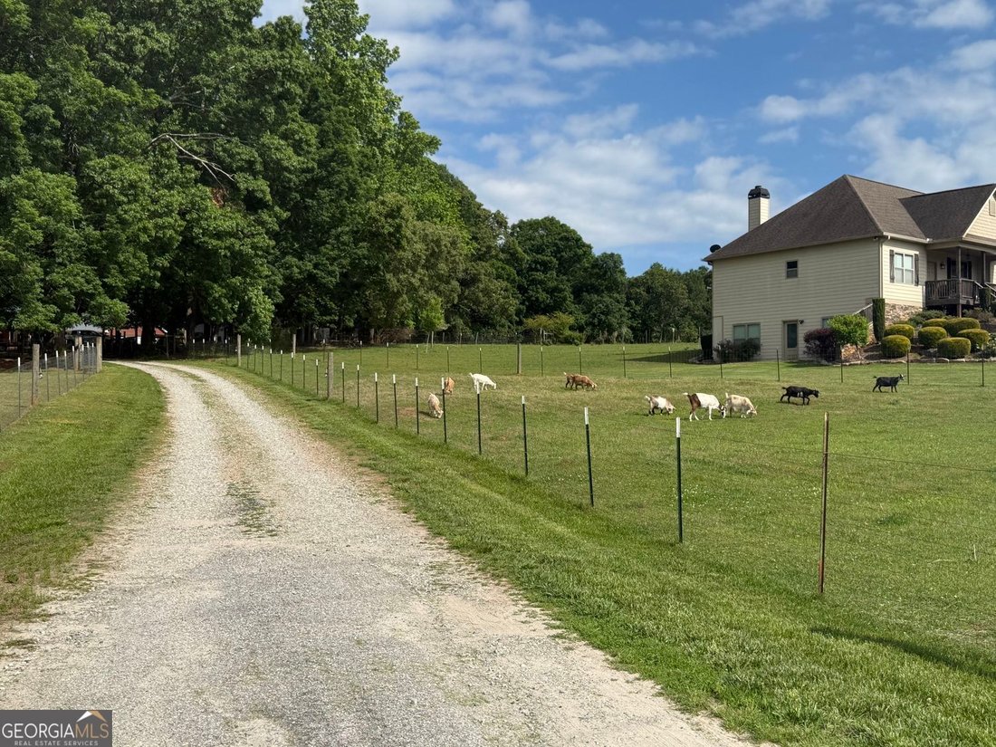 Farm Ranch in Cumming, Georgia, United States 4 - 18088987