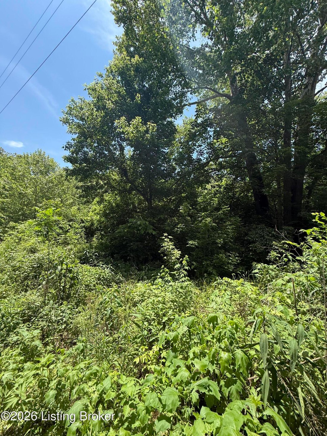 Farm Ranch in Bedford, Kentucky, United States 5 - 18082452