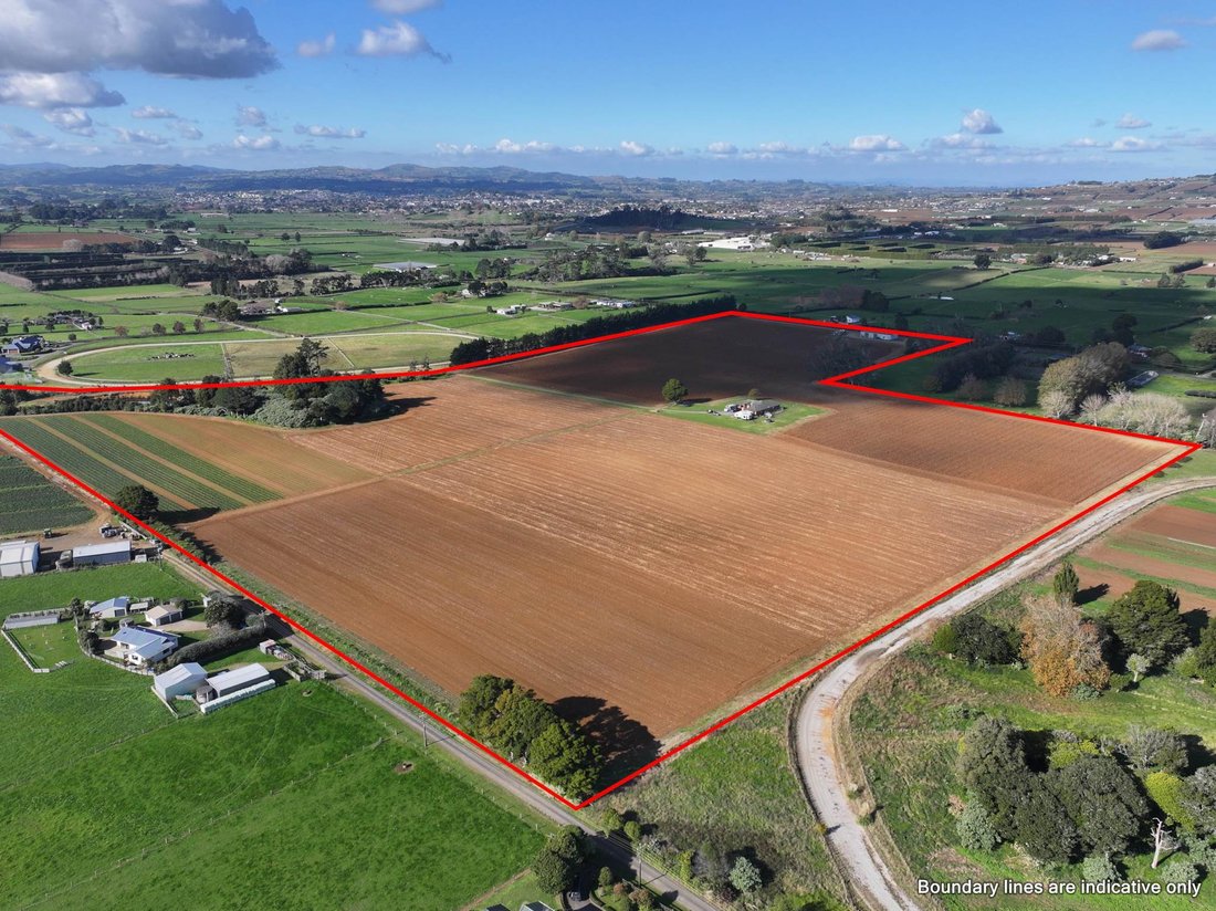 Farm Ranch in Pukekohe Hill, New Zealand 2 - 18088365