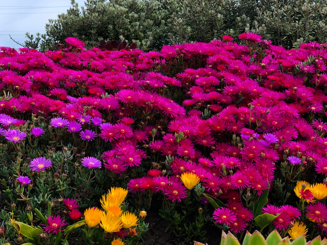Apartment in Nassau, New Providence, The Bahamas 2 - 18080852