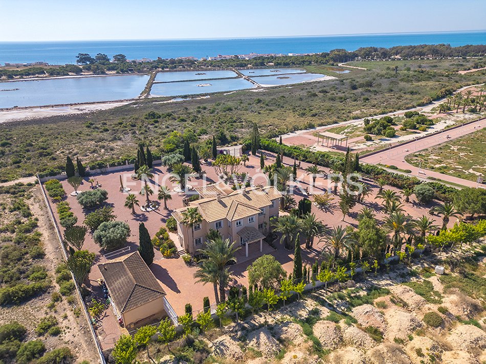 Villa in Elx / Elche, Valencian Community, Spain 1 - 18081709