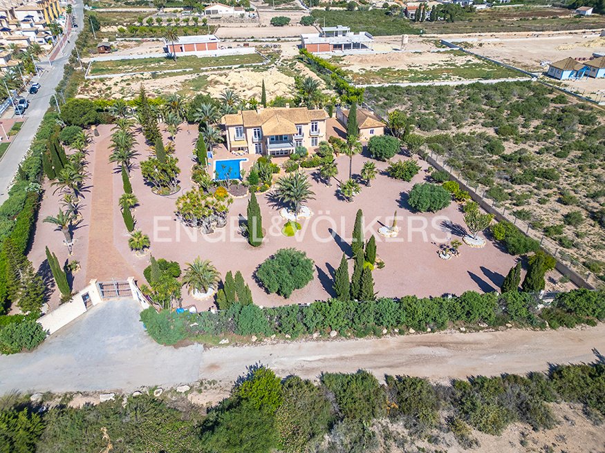 Villa in Elx / Elche, Valencian Community, Spain 4 - 18081709
