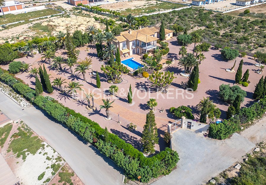 Villa in Elx / Elche, Valencian Community, Spain 5 - 18081709